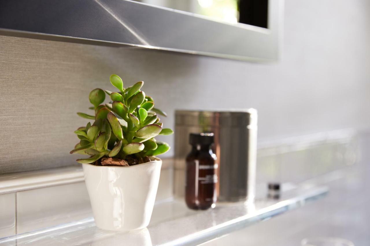 The Whitney Hotel Boston Esterno foto A small plant in a kitchen